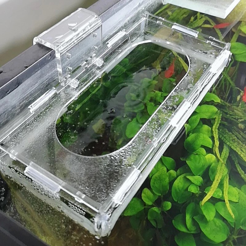 O1CN01FKTPz11vEAQ7cDlx5_!!2861