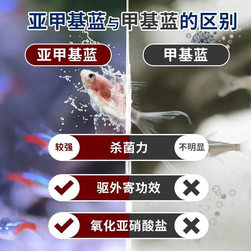 87bbc723-ba2d-46ac-9ef1-c6eab09efaf6.jpe