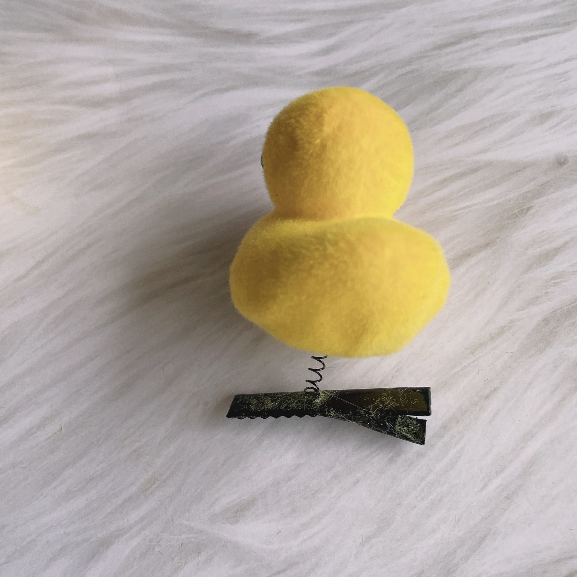 IMG_2346(20210826-171644)