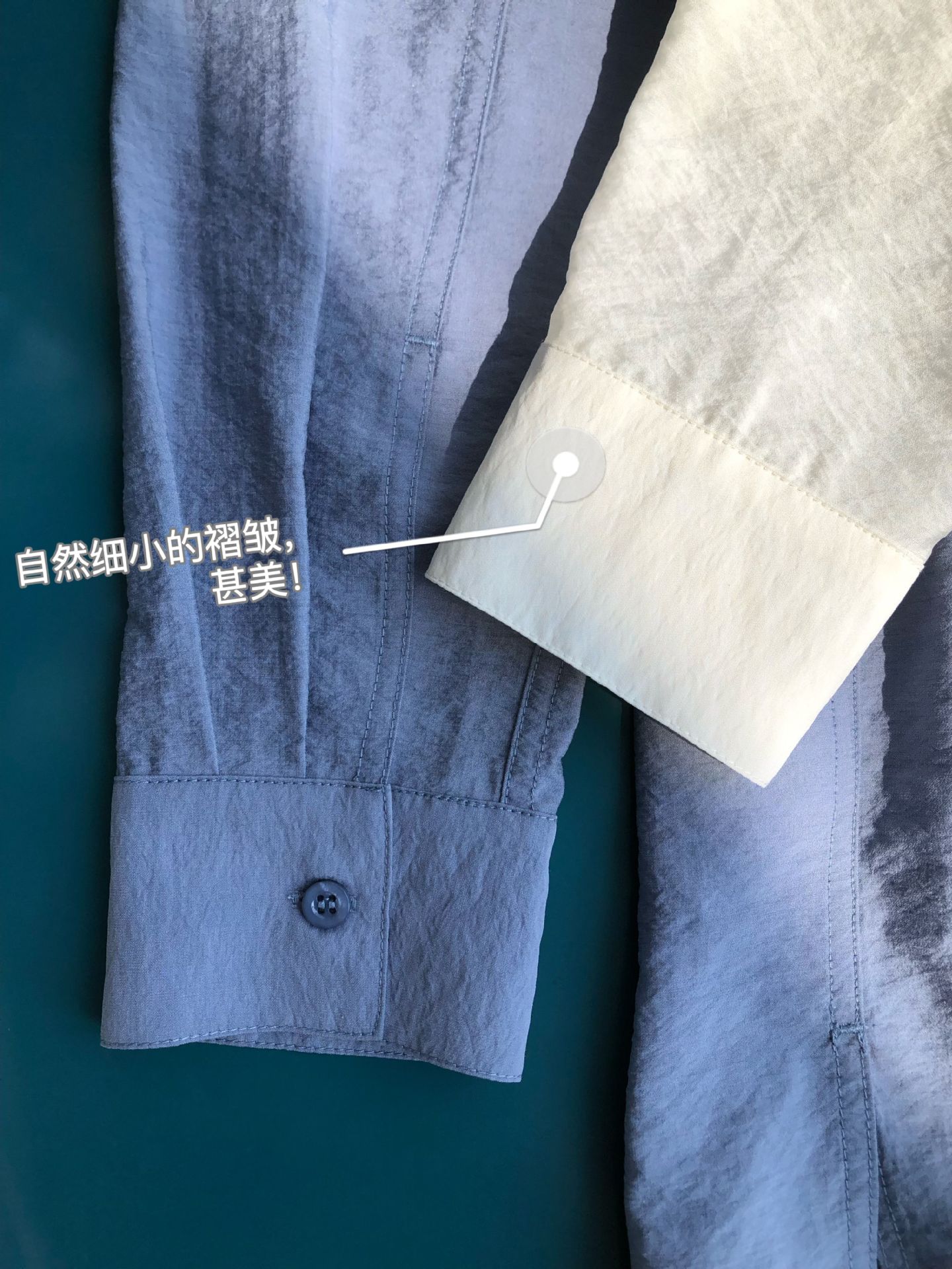 白露青藤5.jpg