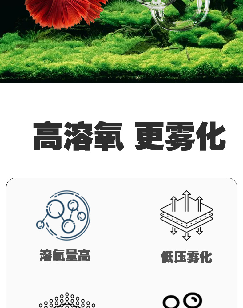 未标题-1_02.jpg