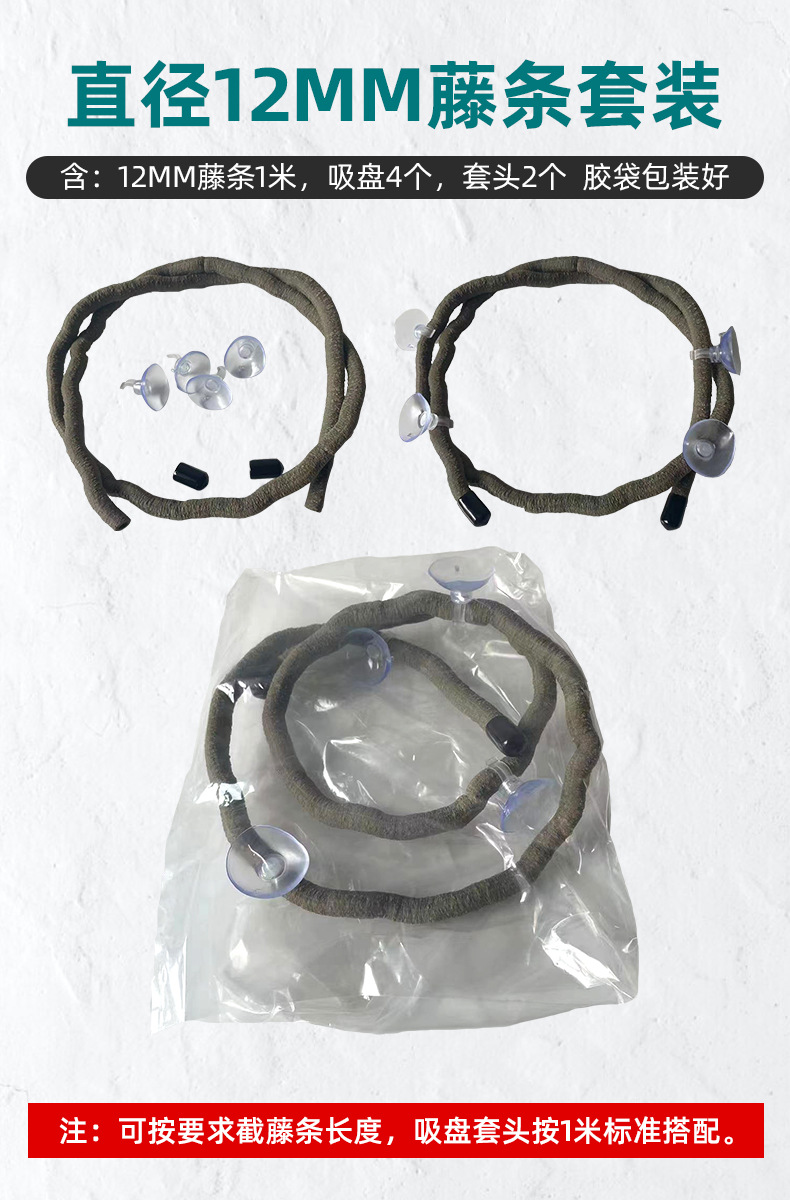 图片_20240112215203