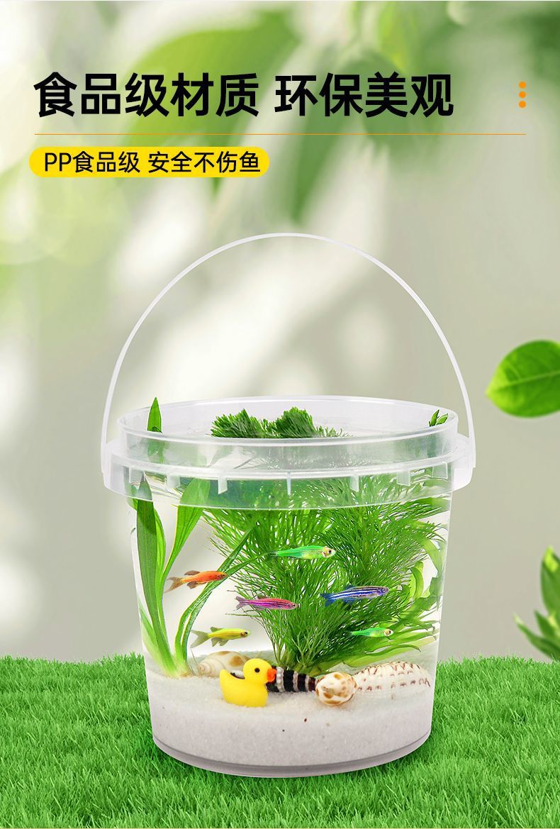 8667357e-97be-4514-a042-e764c19984a3.jpe