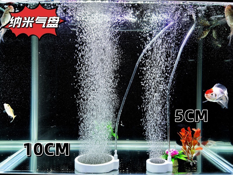 425fdf25-8ff6-4e36-bf79-2b54d583a21e.jpe