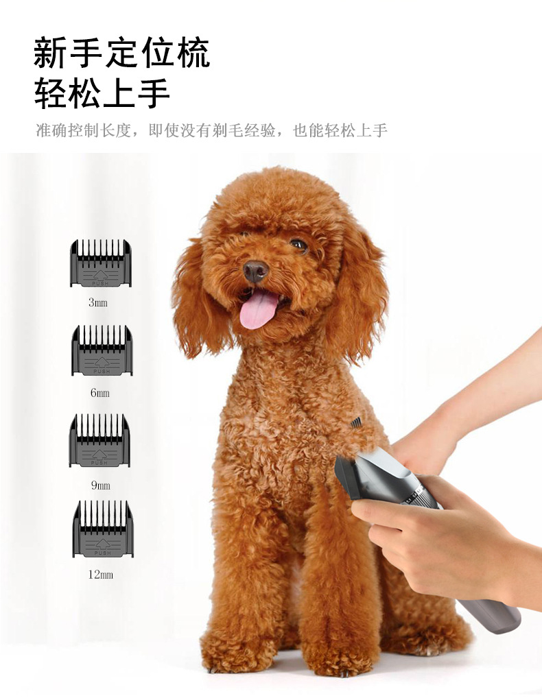 Q8宠物理发器_13