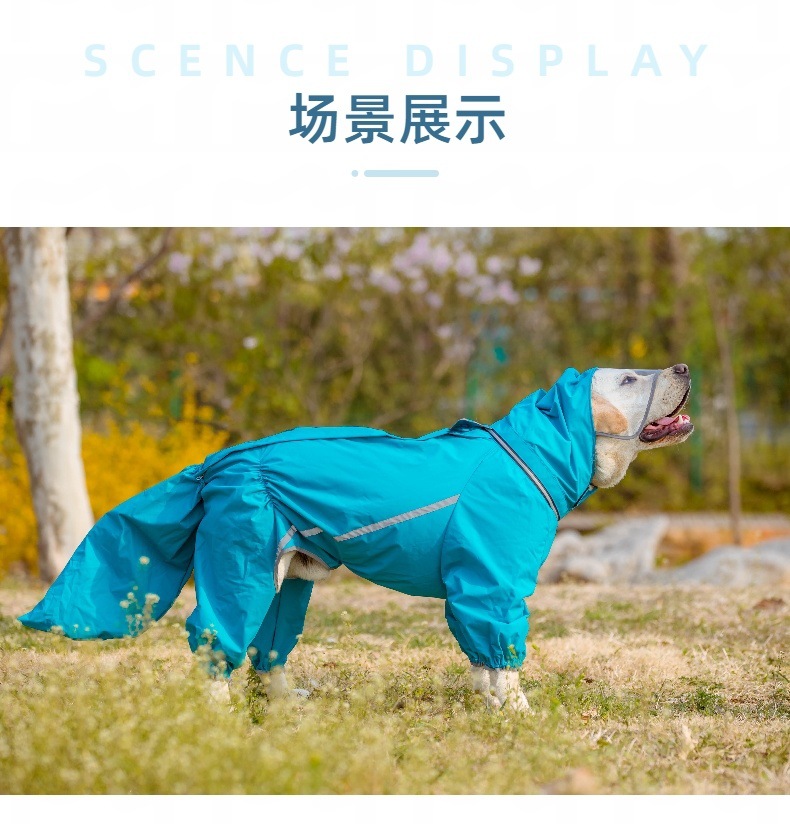 f8826d12-c945-46ca-a596-481248f50ce7.jpe