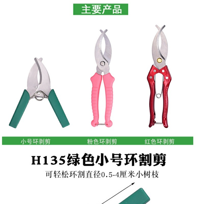 acdcc689-4436-4da9-a14a-5c52ce0fe70e.jpe