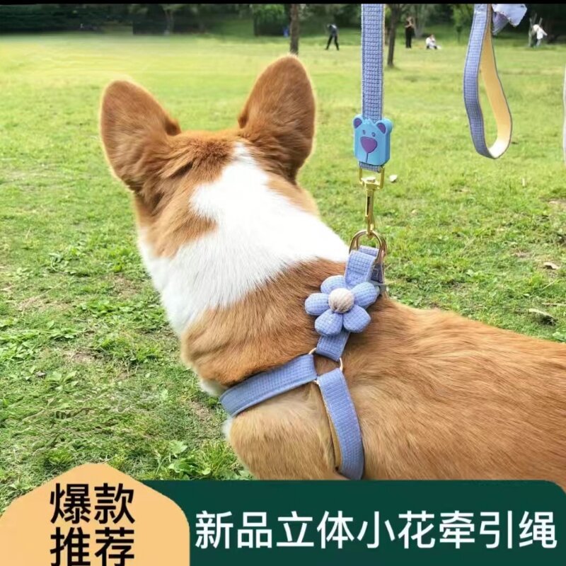 大泽设计_20230517194229_1_proc