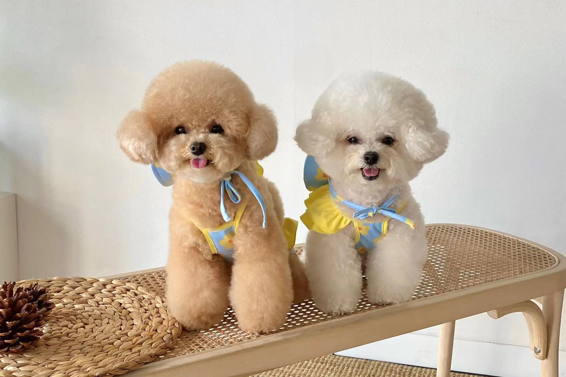 微信图片_20220512103211