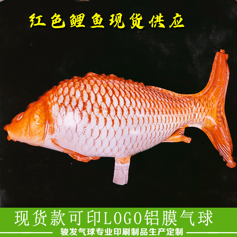 红鲤鱼1