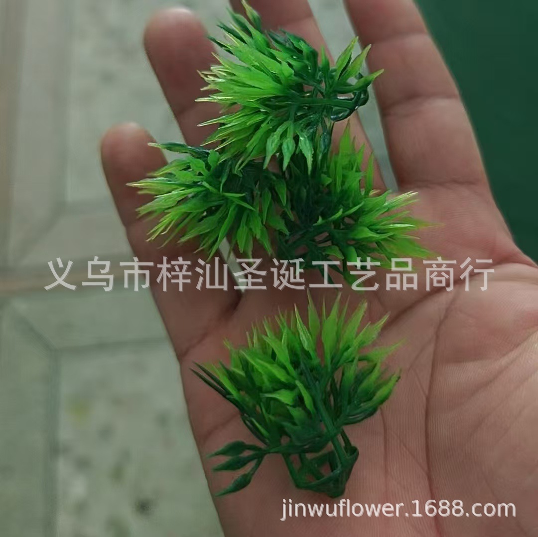 微信图片_20250305135151