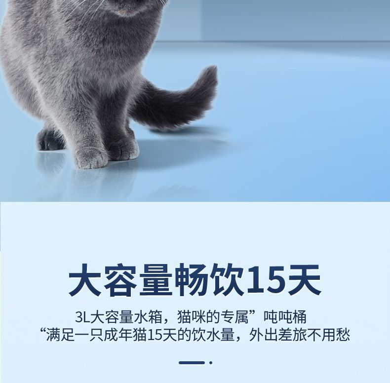 f182ed51-e1e7-428d-9738-3fff87abbe0a.jpe