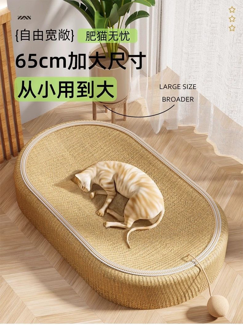 11f3f6a8-7392-40d6-9363-ce464d2af162.jpe