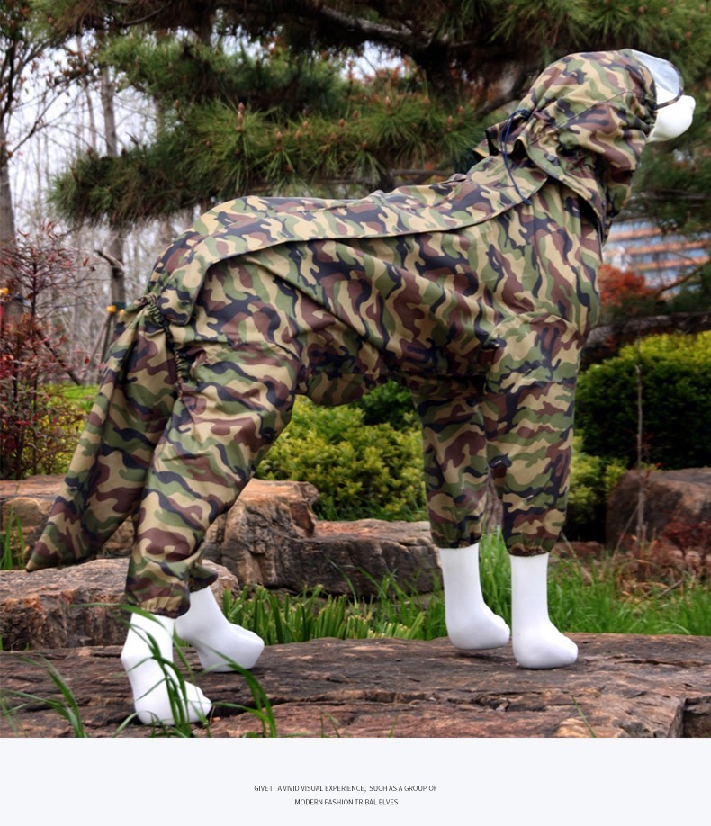 f1907f3b-b287-475f-b786-ddd1f866aef8.jpe