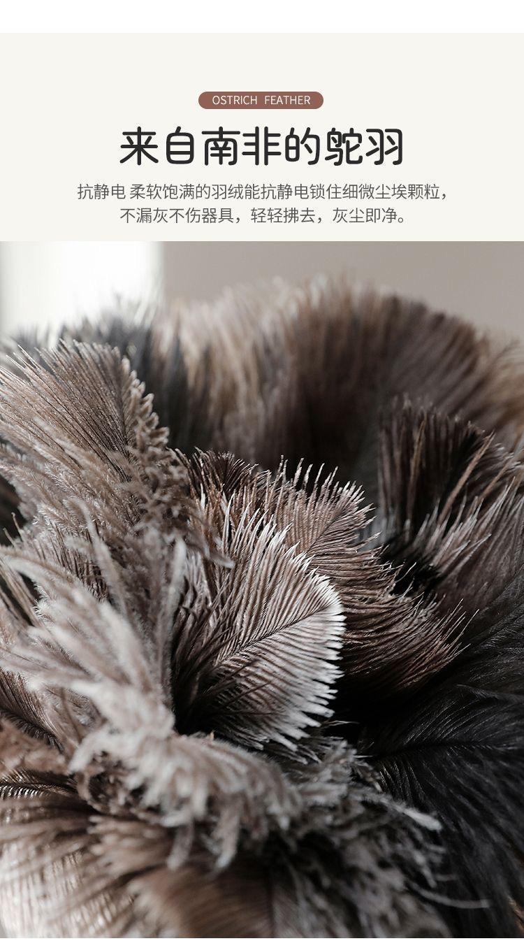 jpeg_m_b5d246b70e185dcdb89b1df