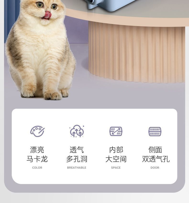 b9db2c1d-90bb-42dc-a231-4692cea06332.jpe