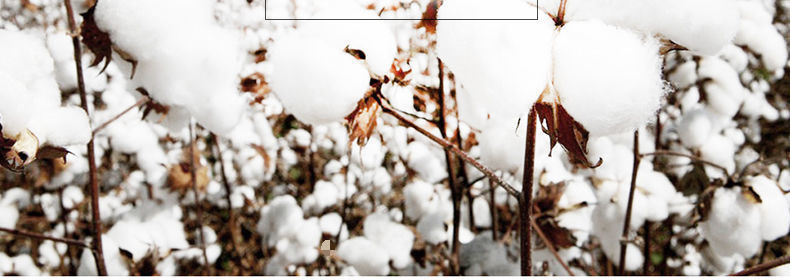 364eca32-e0ad-492d-9516-c55a8202b282.jpe