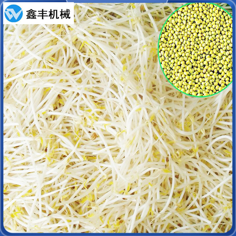 A鑫丰豆芽机 (24).jpg