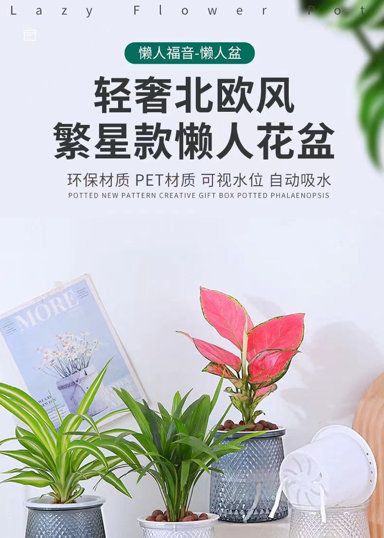 微信图片_20240113192635