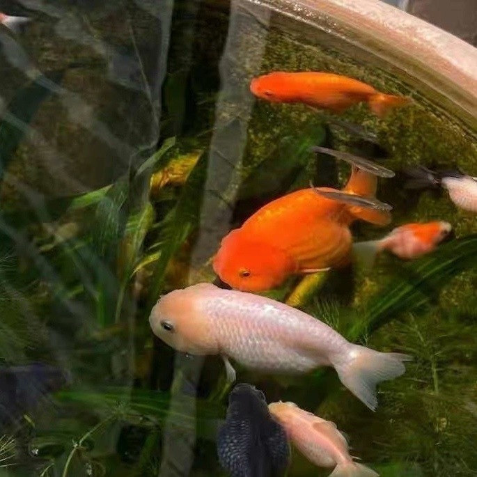 ca9911c3-4f80-43ac-a852-ffd28c8381e2.jpe