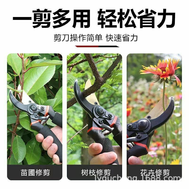 详情图_9.jpg