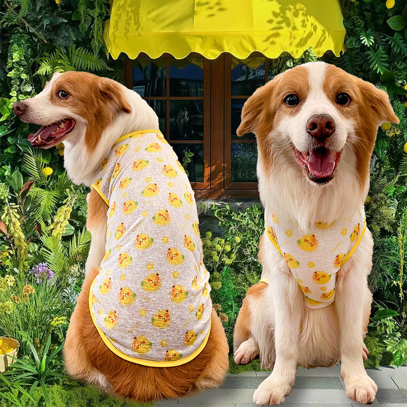 2979b1c7-f699-489b-90a5-f15e63114004.jpe