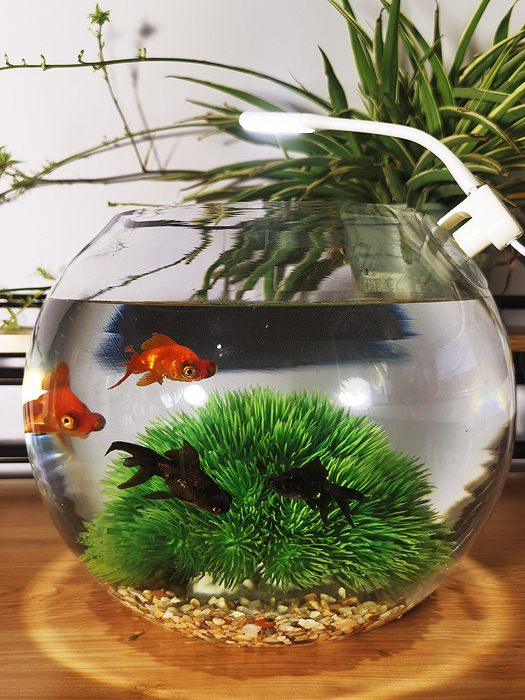 11d5e0e2-a042-4962-b6f4-313d4cfaa084.jpe