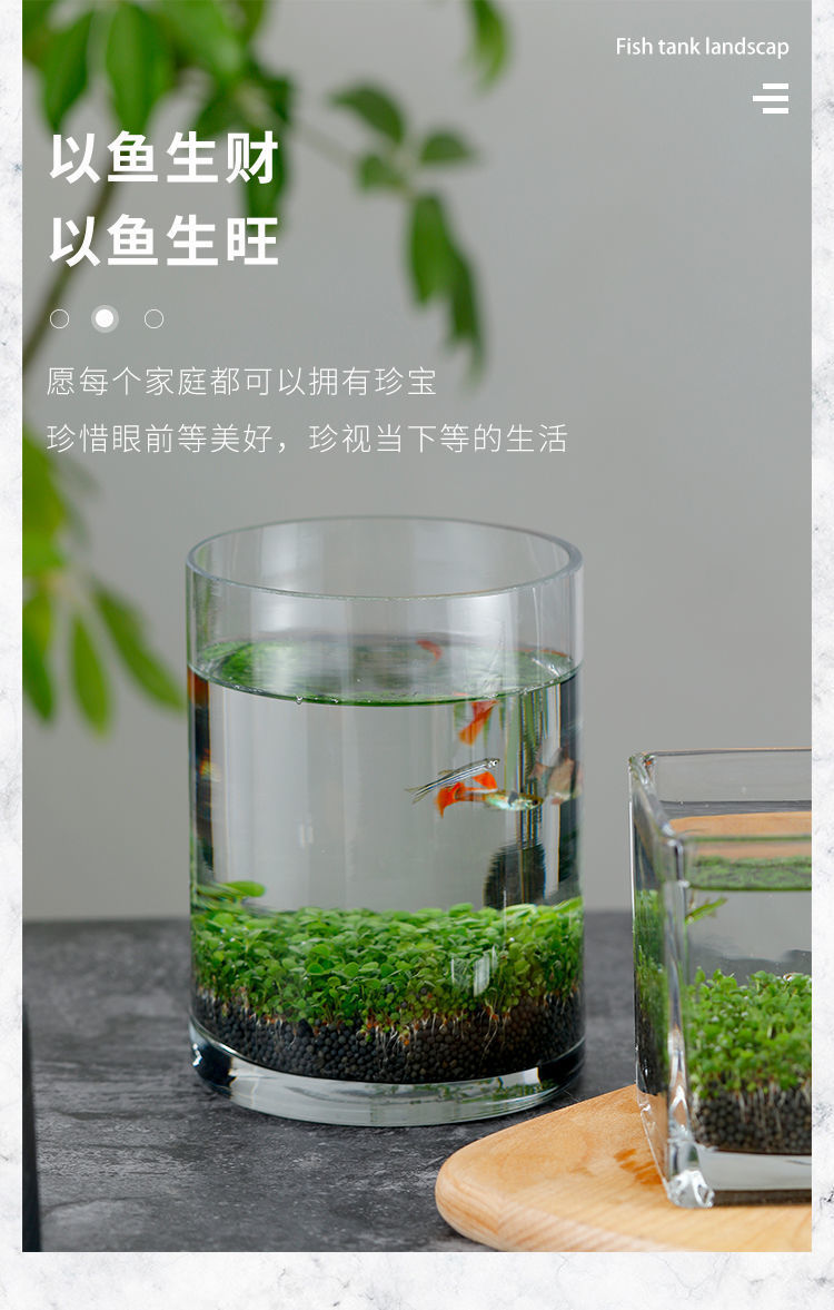 ade470ce-c0e8-4e8d-b03c-5dd65d51e111.jpe