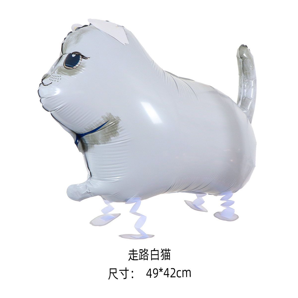 走路白猫(送绳子).jpg