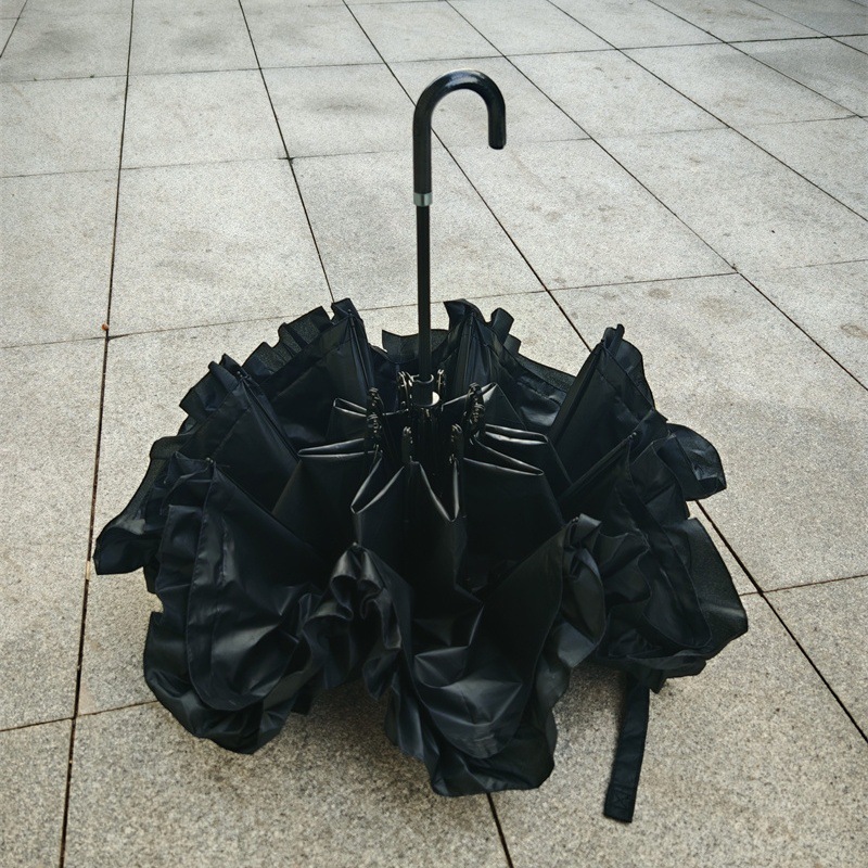 IMG_20240325_071559_edit_24869