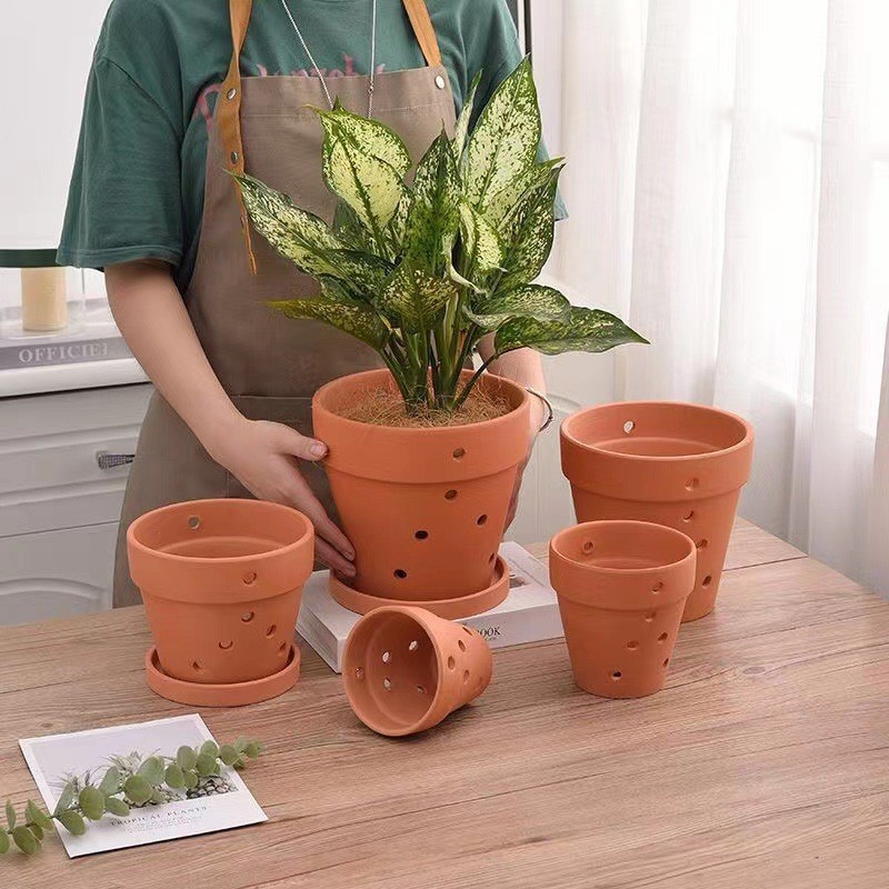 O1CN015Jo28k2JdreKWQaYd_!!2214