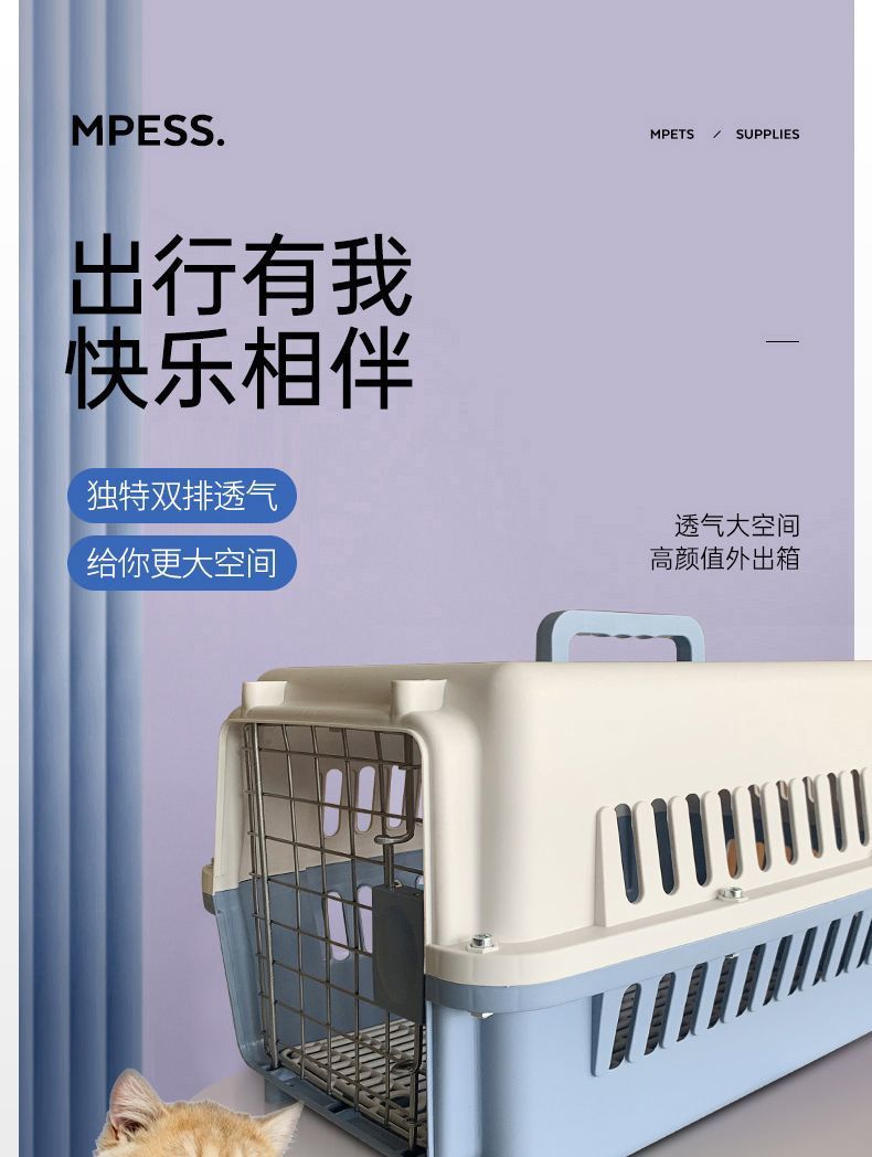 b5dec772-7eab-4b25-85f4-bcc470504359.jpe