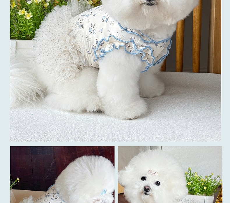 1005.jpg?x-oss-process=image/format,png