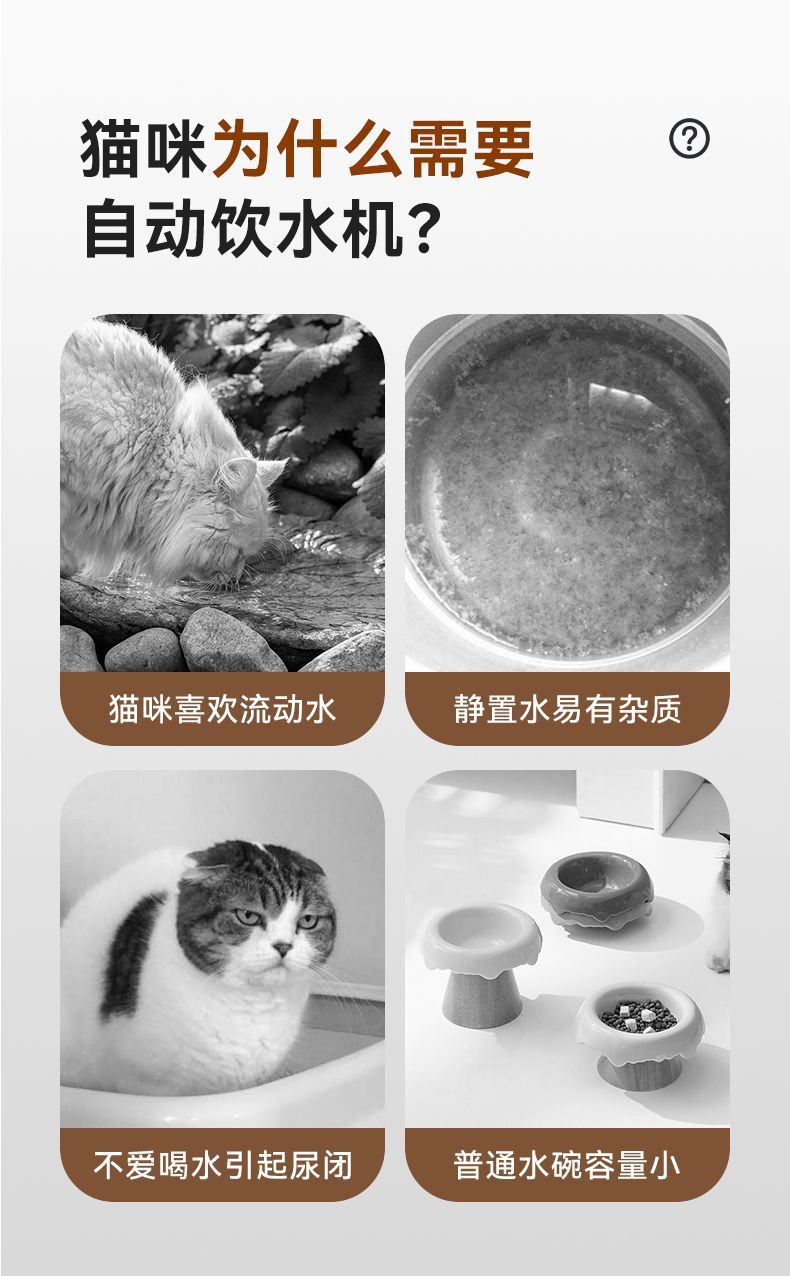 6570d3db-62d4-4903-8fd9-811fd4df0900.jpe