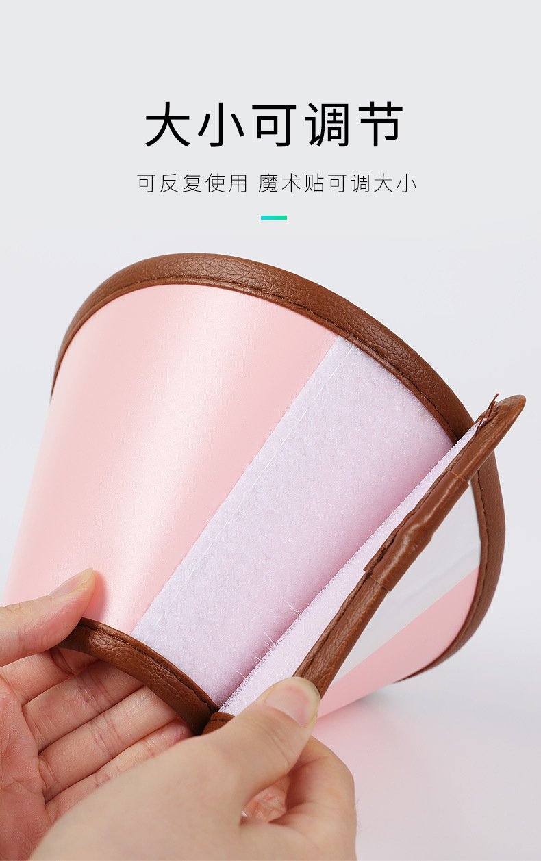 伊丽莎白圈 (4).jpg