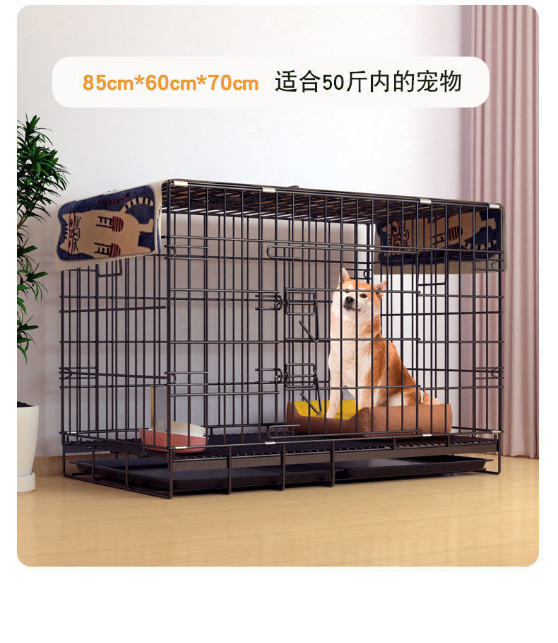 bc7a90cf-b329-4f19-a059-5a8030951c52.jpe