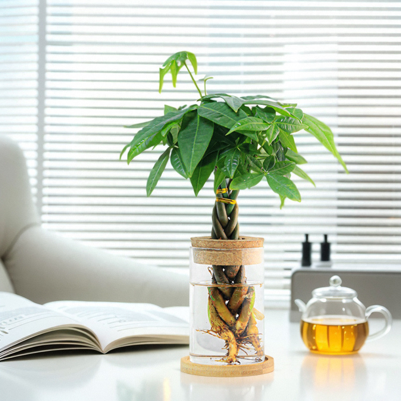 9ac384bb-566d-4573-b41b-977a921a0c7a.jpe