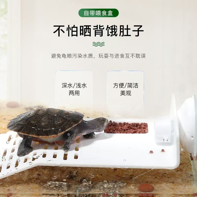 eea78320-3489-4f0c-ba9e-d20a0f84fd73.jpe