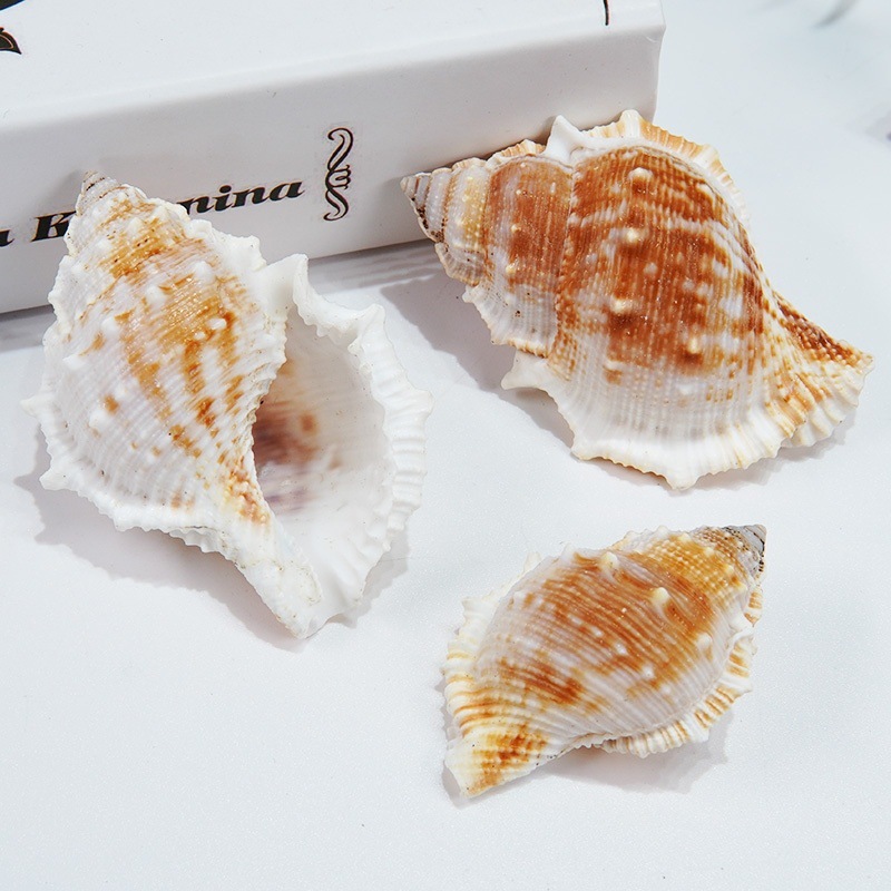 15e51f8c-834f-44e3-97b7-50a531eb1de0.jpe