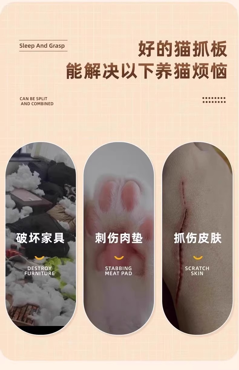 ae49d962-570b-4be4-88e7-fc1b50f4b405.jpe