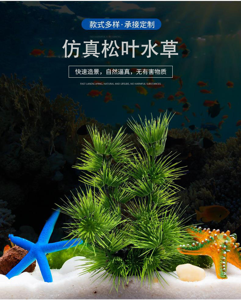 松叶草.jpg