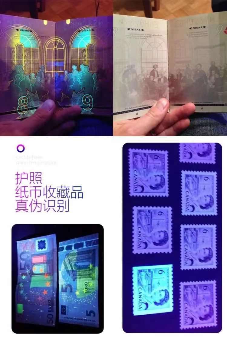 01f179af-e72d-440a-bf99-e21ad7c91745.jpe