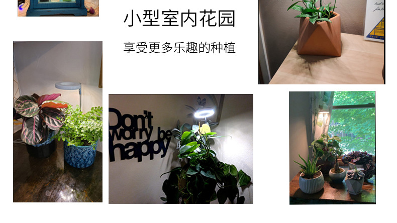 详情_18.jpg