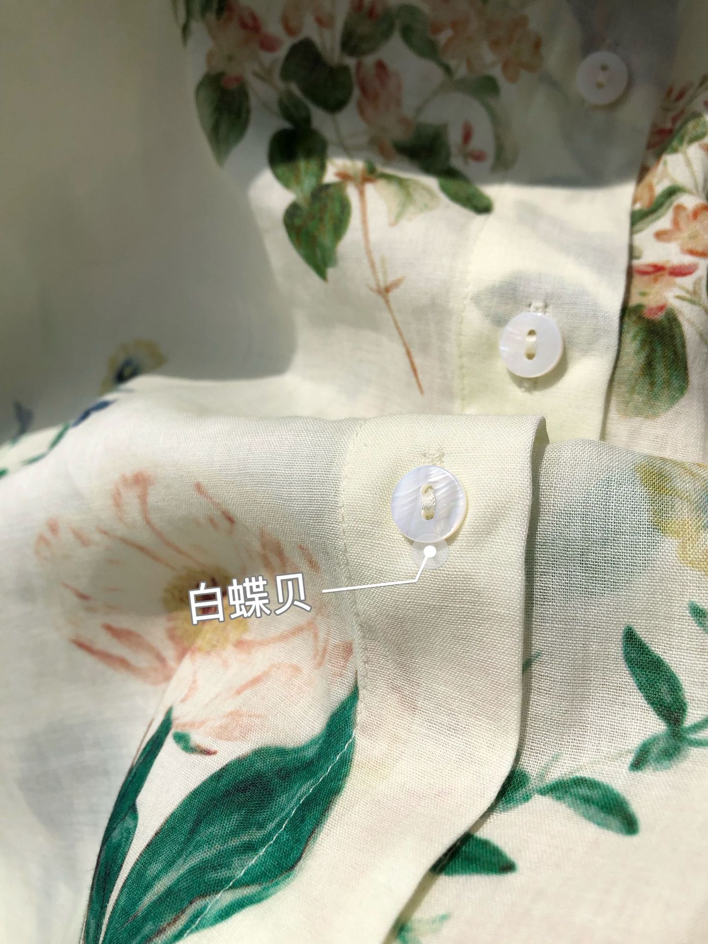 蓝牵牛5.JPG