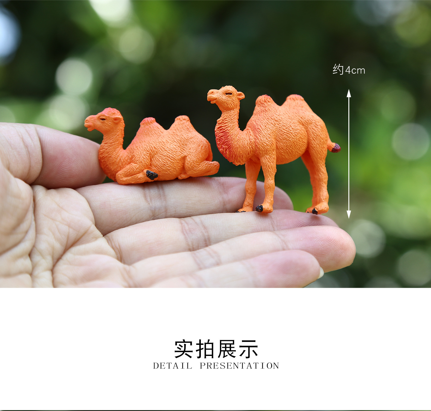 详情2_03.jpg