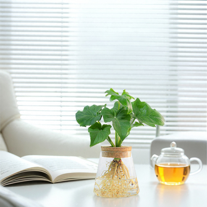 caa05a2c-8358-47fa-9785-c06c04be259c.jpe