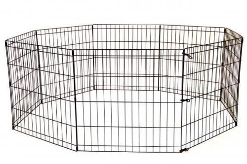 fences for dog
