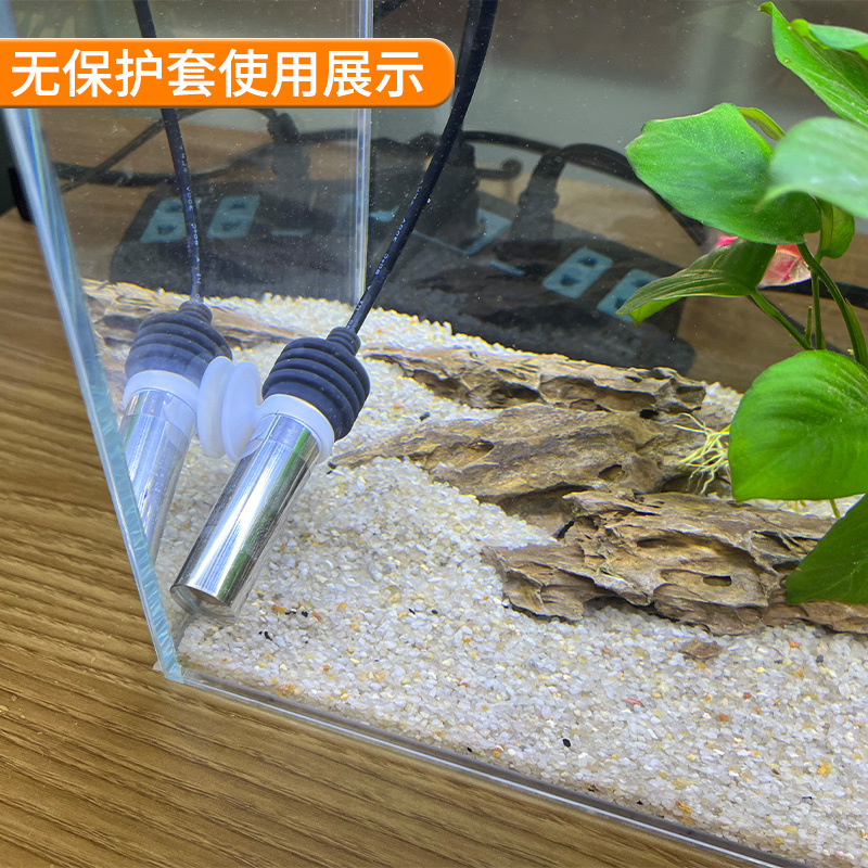 447cf445-dd62-41e0-8ab5-0282e104a6c2.jpe