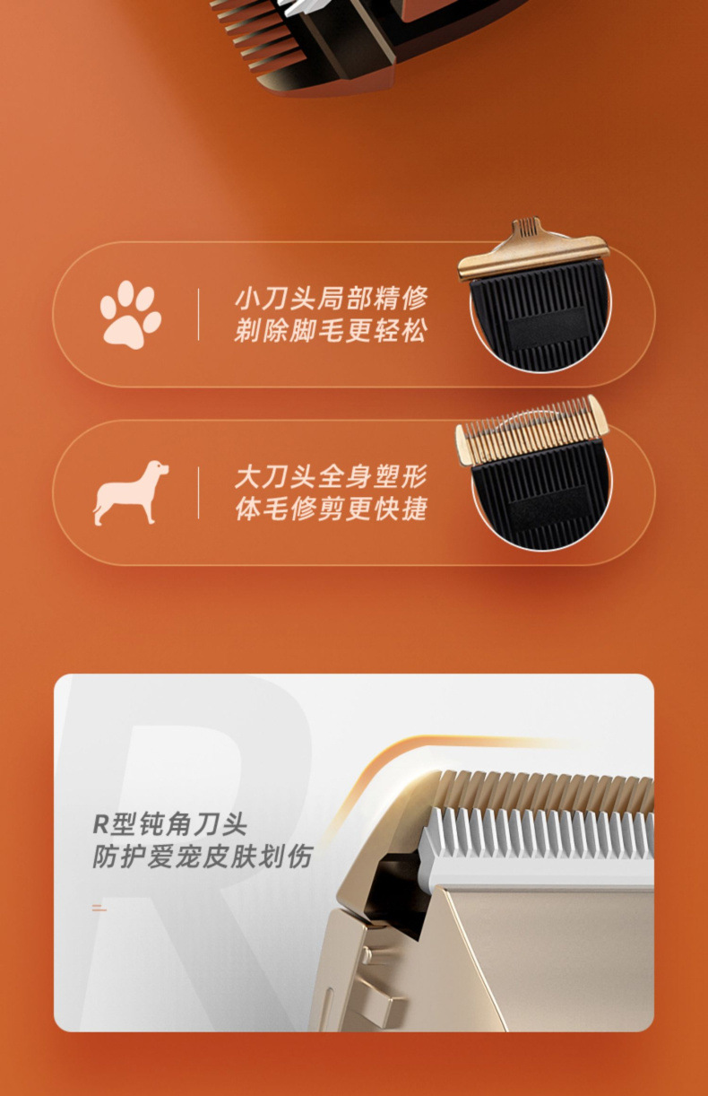 09597111-0feb-4249-a03f-619e026f9d8f.jpe