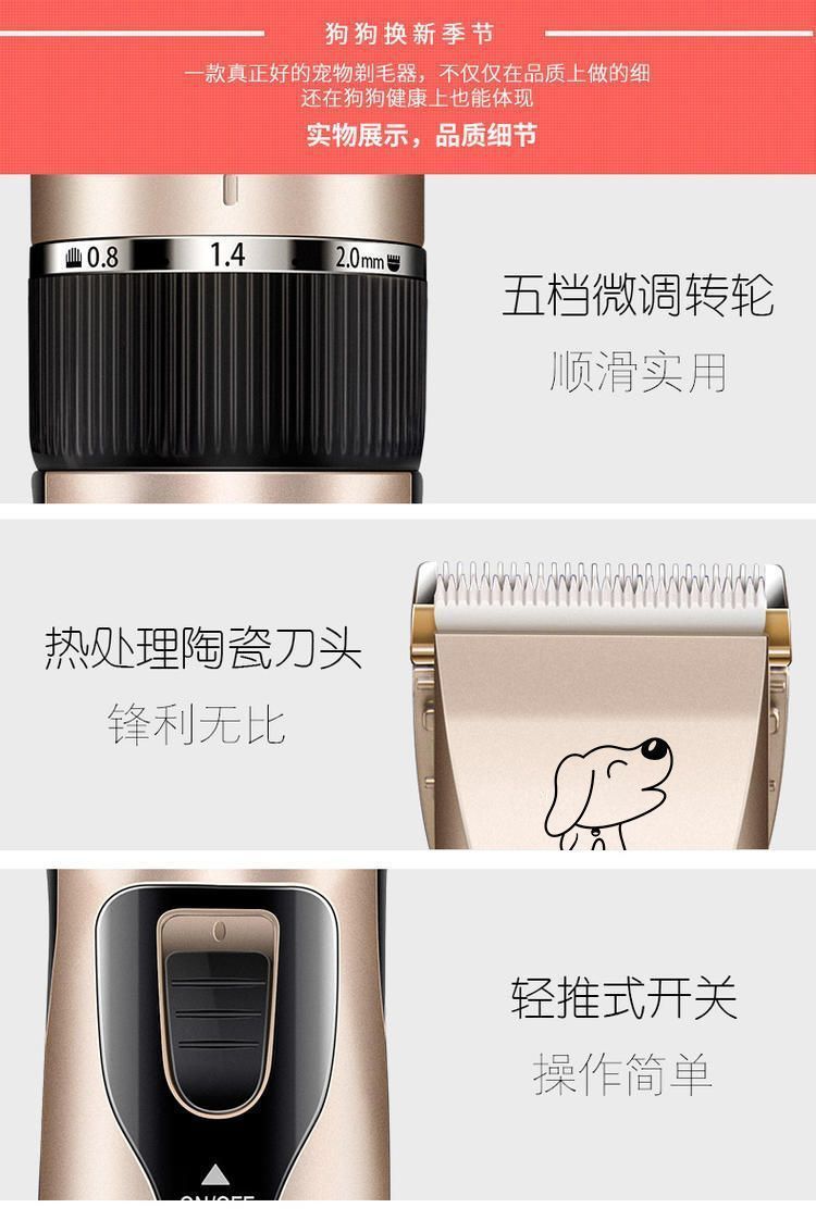 dda05a96-c459-45e4-aaab-1db2155c02cb.jpe